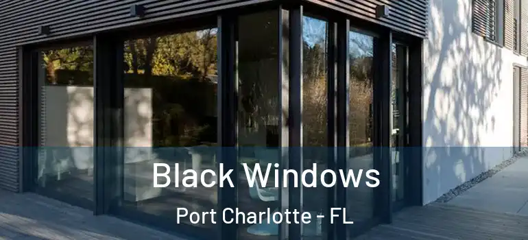  Black Windows Port Charlotte - FL
