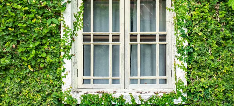 Garden Window Repair Near Me in Port Charlotte, FL
